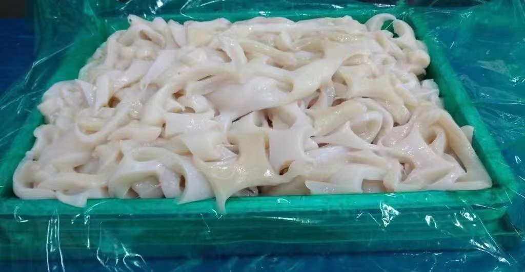 squid meat (2)